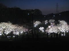 ���C�g�A�b�v�̔~��1