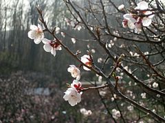 ���C�g�A�b�v�̔~��2