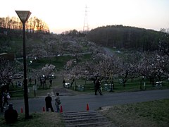 ���������~��14