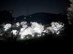 ���������~��16