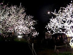 ���������~��17