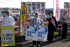 ��Вn�����x���A�u�����[���v�������Ăт�����g������ƌ㉇���