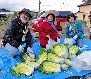 支援物資の白菜を切り分けるメンバー